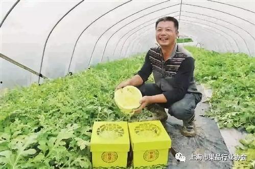 上海确诊 吃瓜,吃瓜群众热议疫情动态 第1张 上海确诊 吃瓜,吃瓜群众热议疫情动态 第1张